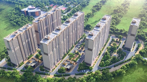 Абрикосово Абрикосово